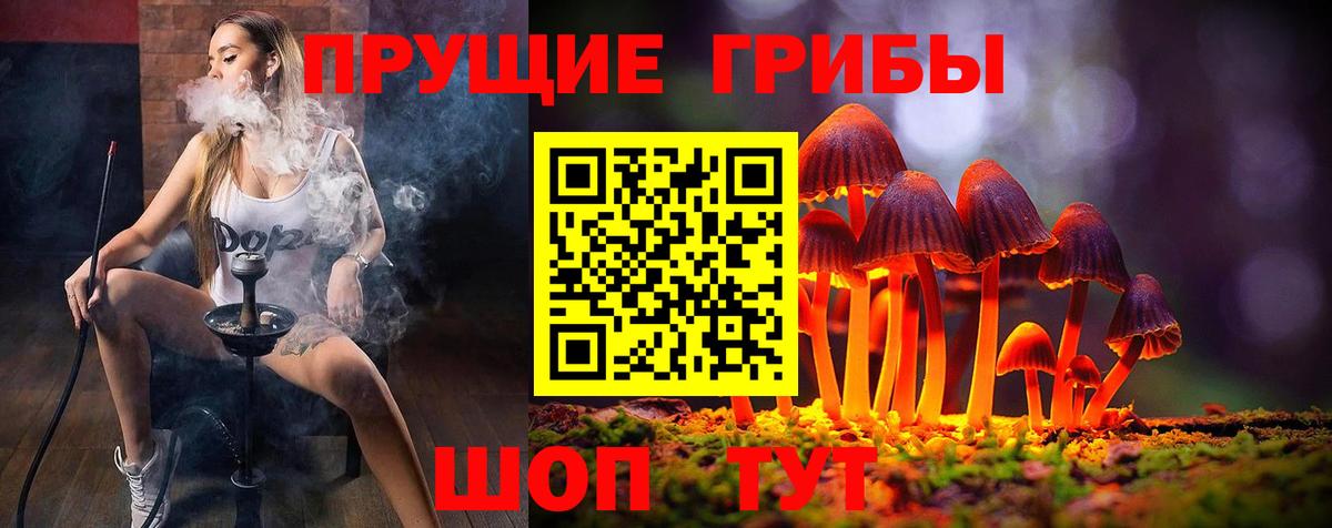 Галлюциногенные грибы MAGIC MUSHROOMS Гурьевск